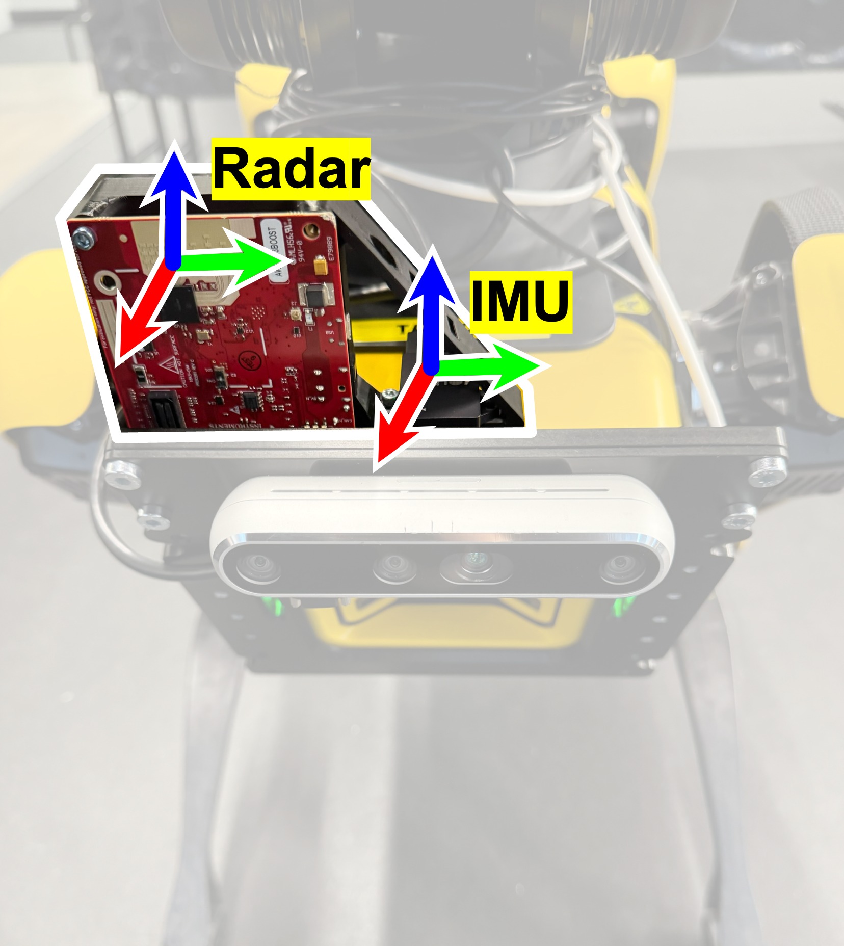 RAI sensor system